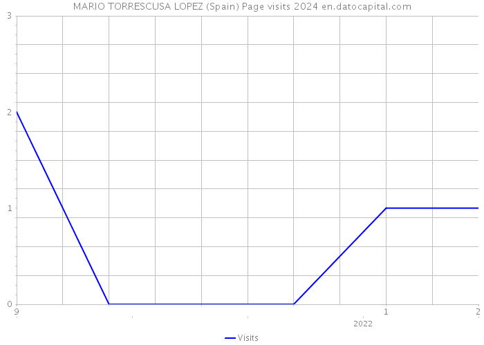 MARIO TORRESCUSA LOPEZ (Spain) Page visits 2024 