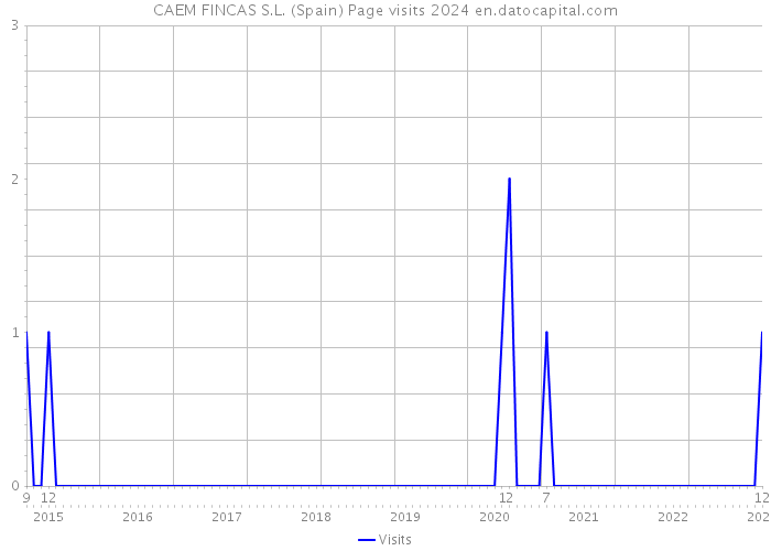CAEM FINCAS S.L. (Spain) Page visits 2024 