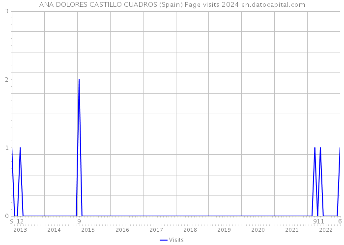 ANA DOLORES CASTILLO CUADROS (Spain) Page visits 2024 