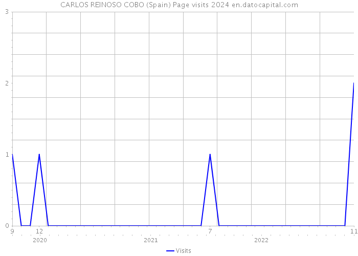 CARLOS REINOSO COBO (Spain) Page visits 2024 