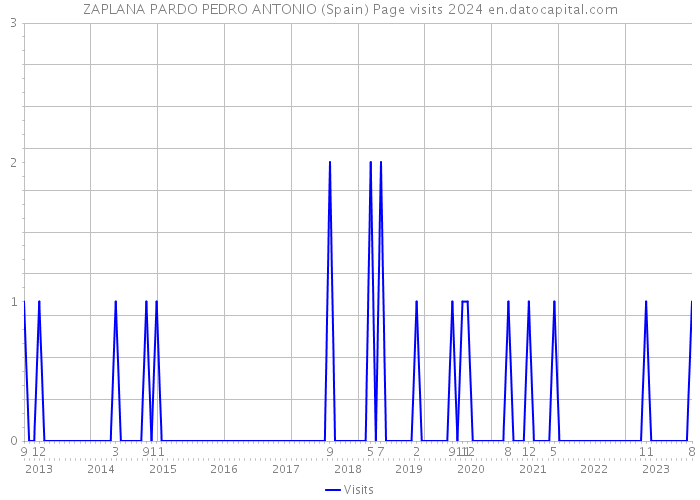 ZAPLANA PARDO PEDRO ANTONIO (Spain) Page visits 2024 