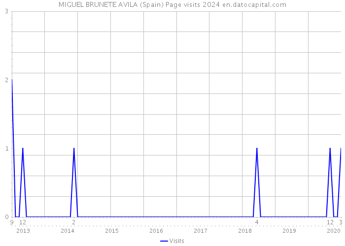 MIGUEL BRUNETE AVILA (Spain) Page visits 2024 