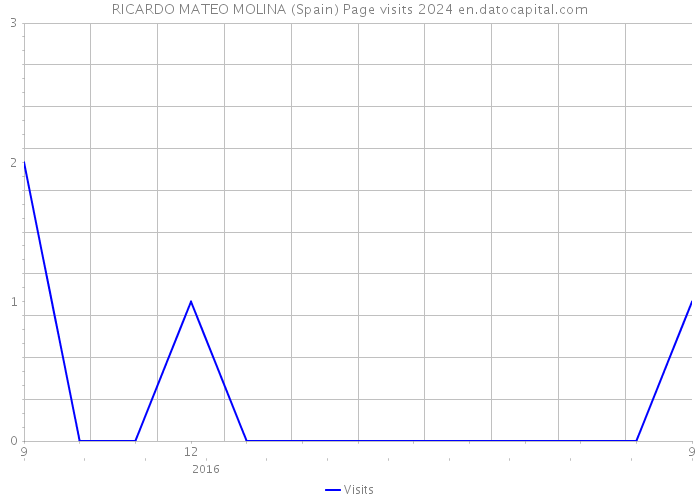 RICARDO MATEO MOLINA (Spain) Page visits 2024 