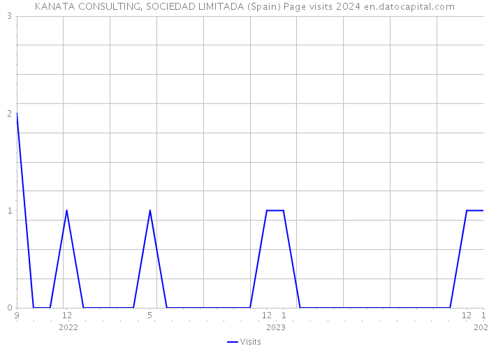 KANATA CONSULTING, SOCIEDAD LIMITADA (Spain) Page visits 2024 