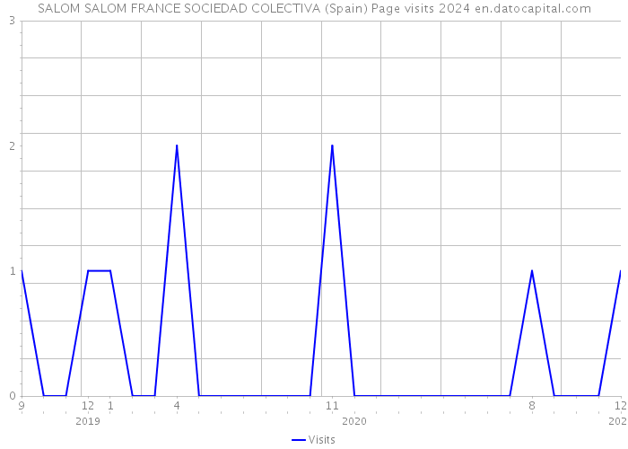 SALOM SALOM FRANCE SOCIEDAD COLECTIVA (Spain) Page visits 2024 