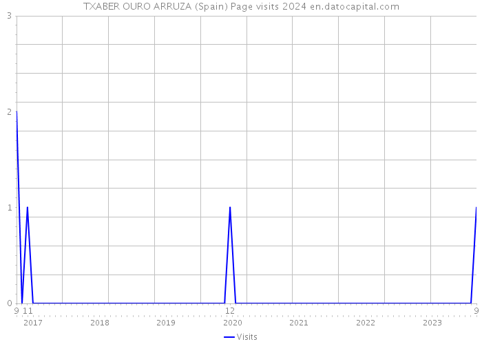 TXABER OURO ARRUZA (Spain) Page visits 2024 