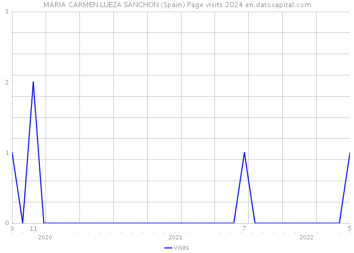 MARIA CARMEN LUEZA SANCHON (Spain) Page visits 2024 