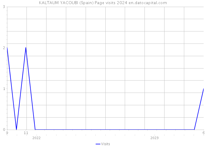 KALTAUM YACOUBI (Spain) Page visits 2024 