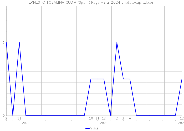 ERNESTO TOBALINA GUBIA (Spain) Page visits 2024 