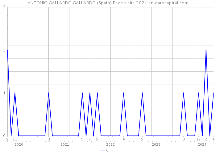 ANTONIO GALLARDO GALLARDO (Spain) Page visits 2024 