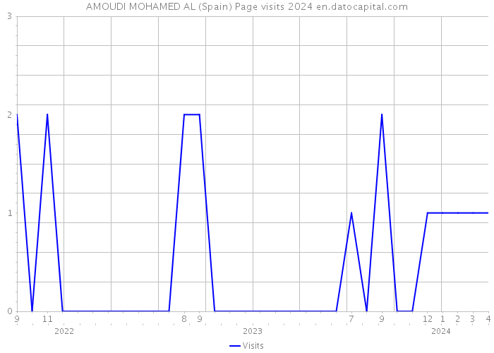 AMOUDI MOHAMED AL (Spain) Page visits 2024 