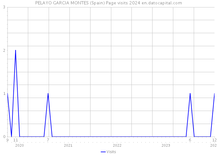PELAYO GARCIA MONTES (Spain) Page visits 2024 
