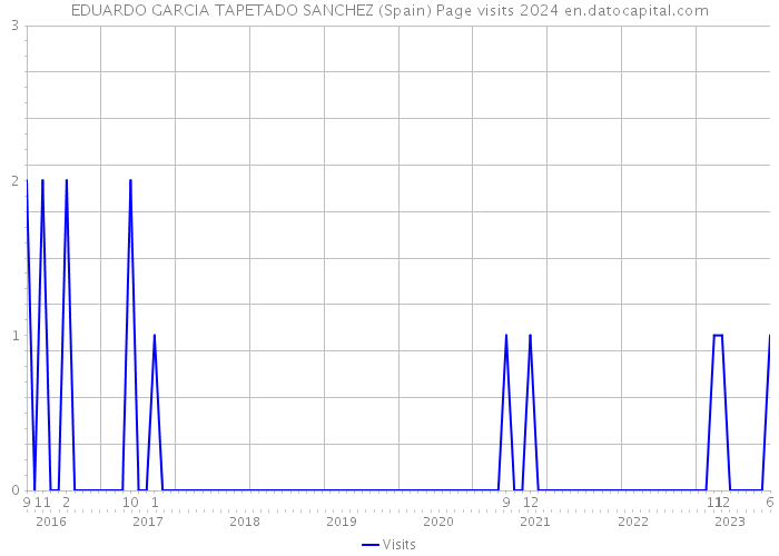 EDUARDO GARCIA TAPETADO SANCHEZ (Spain) Page visits 2024 