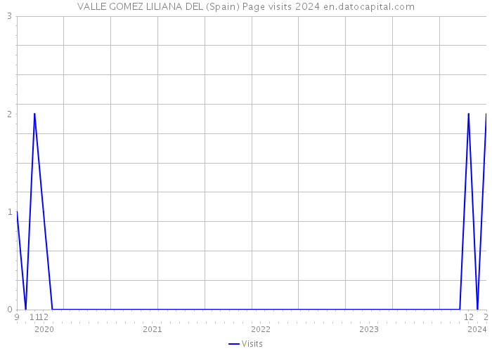 VALLE GOMEZ LILIANA DEL (Spain) Page visits 2024 