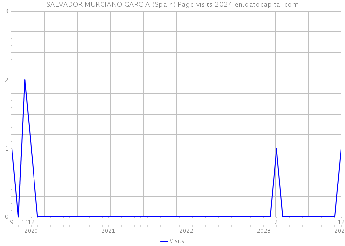 SALVADOR MURCIANO GARCIA (Spain) Page visits 2024 