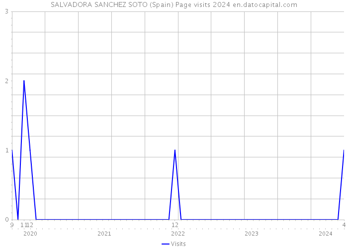 SALVADORA SANCHEZ SOTO (Spain) Page visits 2024 