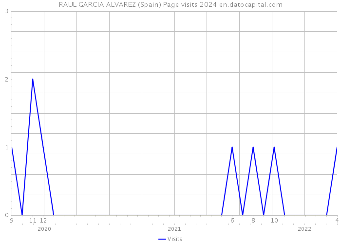 RAUL GARCIA ALVAREZ (Spain) Page visits 2024 