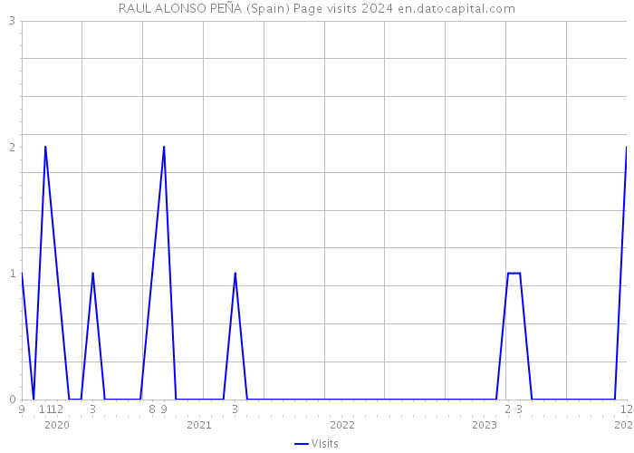 RAUL ALONSO PEÑA (Spain) Page visits 2024 