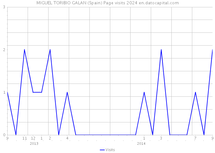 MIGUEL TORIBIO GALAN (Spain) Page visits 2024 