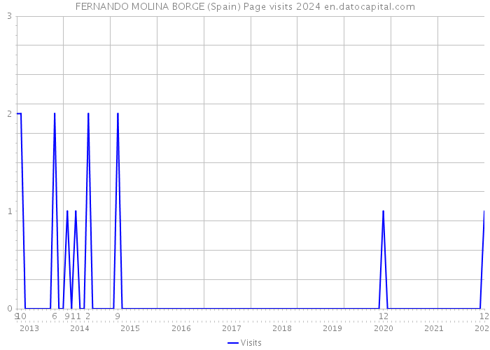 FERNANDO MOLINA BORGE (Spain) Page visits 2024 