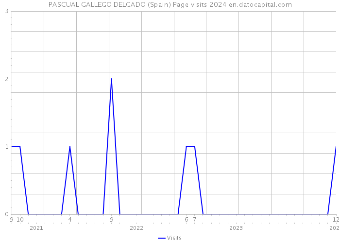 PASCUAL GALLEGO DELGADO (Spain) Page visits 2024 