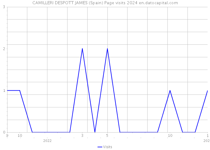 CAMILLERI DESPOTT JAMES (Spain) Page visits 2024 