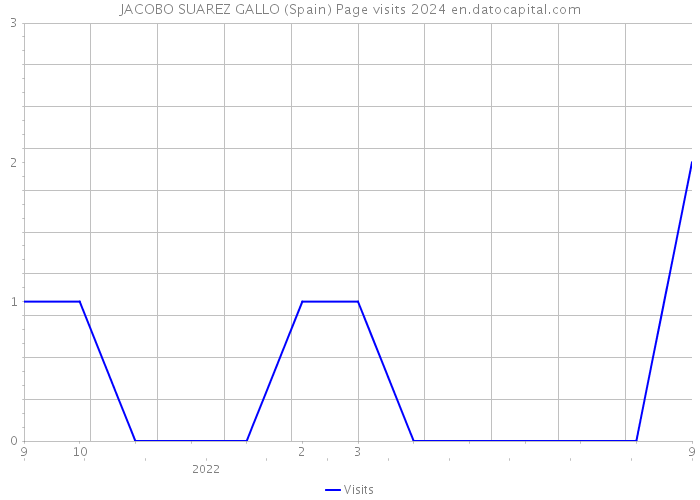 JACOBO SUAREZ GALLO (Spain) Page visits 2024 