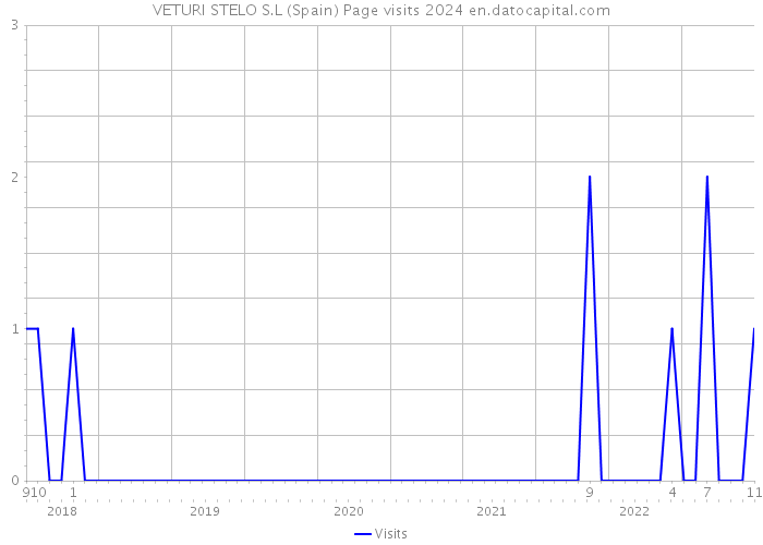 VETURI STELO S.L (Spain) Page visits 2024 