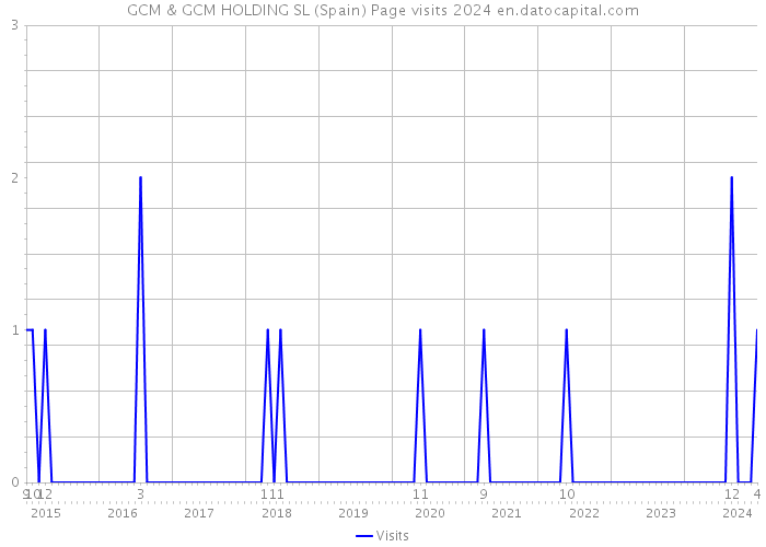 GCM & GCM HOLDING SL (Spain) Page visits 2024 