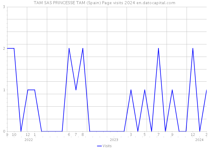 TAM SAS PRINCESSE TAM (Spain) Page visits 2024 