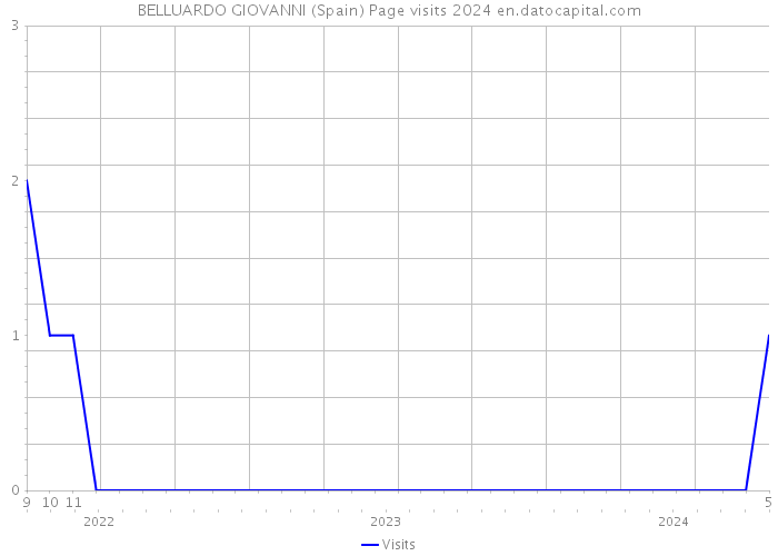 BELLUARDO GIOVANNI (Spain) Page visits 2024 
