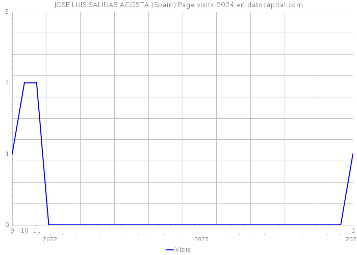 JOSE LUIS SALINAS ACOSTA (Spain) Page visits 2024 