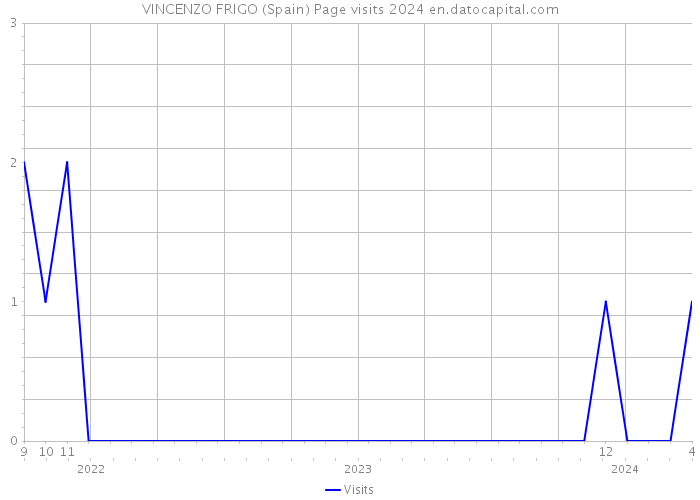 VINCENZO FRIGO (Spain) Page visits 2024 