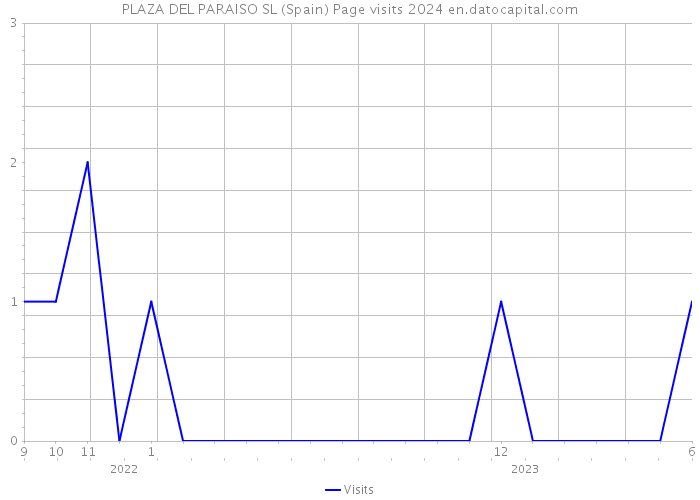 PLAZA DEL PARAISO SL (Spain) Page visits 2024 