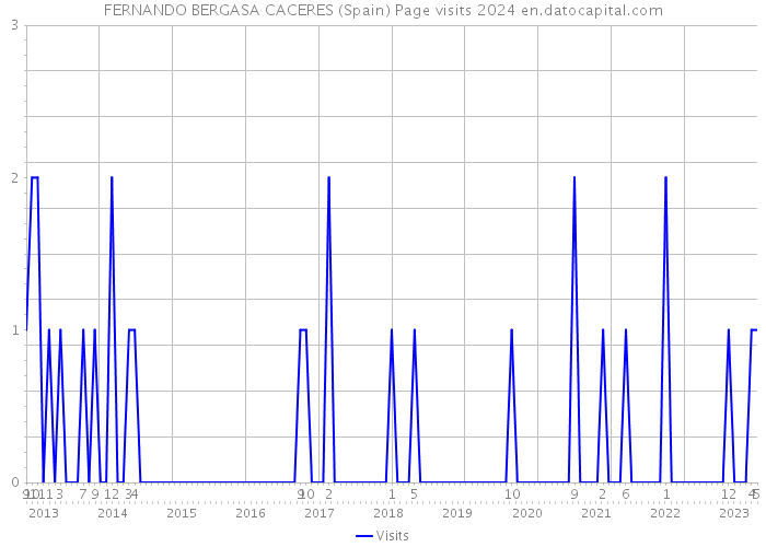 FERNANDO BERGASA CACERES (Spain) Page visits 2024 