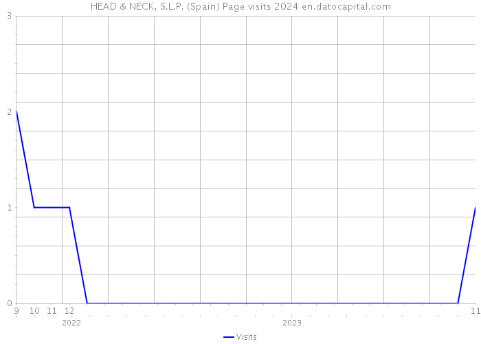HEAD & NECK, S.L.P. (Spain) Page visits 2024 