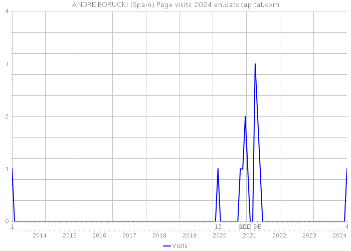 ANDRE BORUCKI (Spain) Page visits 2024 