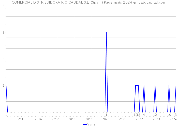 COMERCIAL DISTRIBUIDORA RIO CAUDAL S.L. (Spain) Page visits 2024 