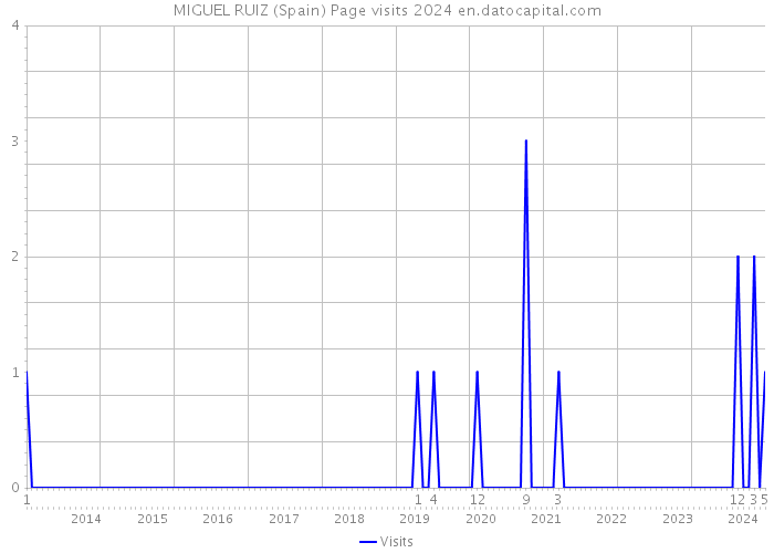 MIGUEL RUIZ (Spain) Page visits 2024 