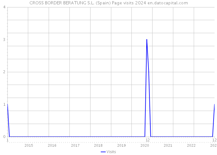 CROSS BORDER BERATUNG S.L. (Spain) Page visits 2024 