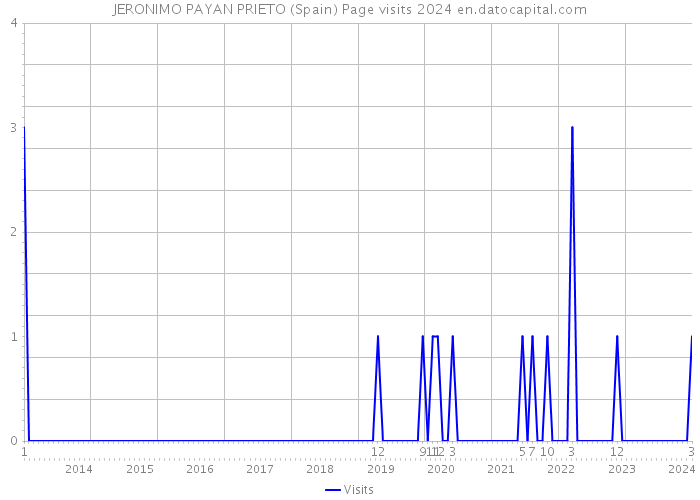 JERONIMO PAYAN PRIETO (Spain) Page visits 2024 