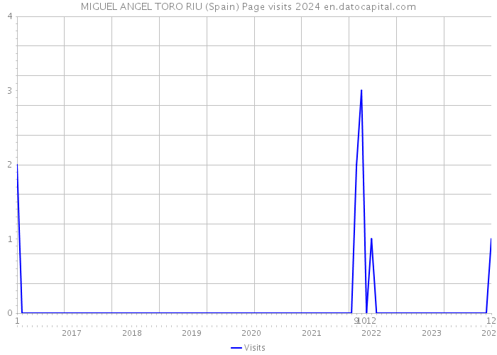 MIGUEL ANGEL TORO RIU (Spain) Page visits 2024 