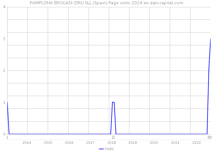 PAMPLONA EROGAN-ZIRU SLL (Spain) Page visits 2024 