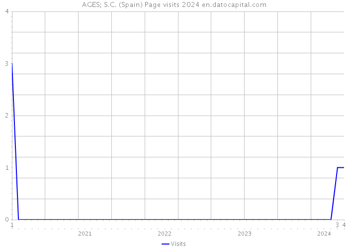 AGES; S.C. (Spain) Page visits 2024 