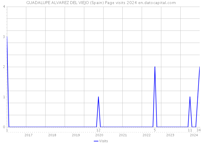 GUADALUPE ALVAREZ DEL VIEJO (Spain) Page visits 2024 