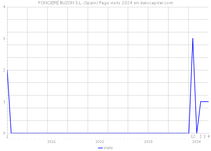 FONCIERE BUZON S.L. (Spain) Page visits 2024 