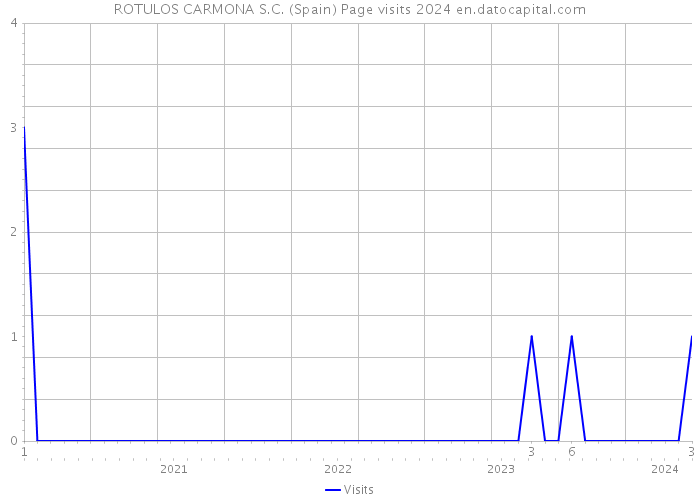 ROTULOS CARMONA S.C. (Spain) Page visits 2024 