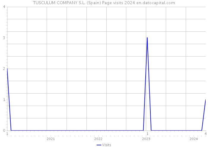 TUSCULUM COMPANY S.L. (Spain) Page visits 2024 