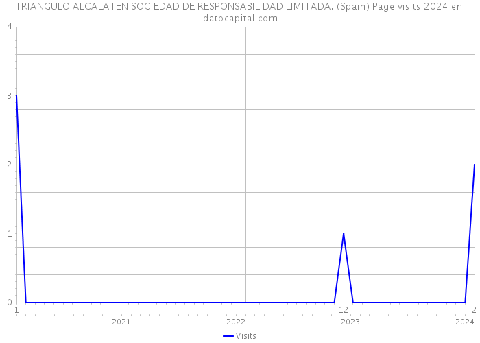 TRIANGULO ALCALATEN SOCIEDAD DE RESPONSABILIDAD LIMITADA. (Spain) Page visits 2024 