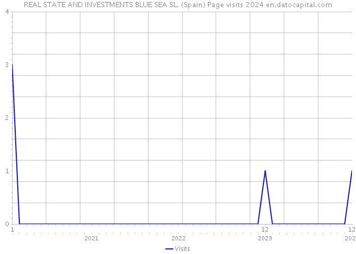 REAL STATE AND INVESTMENTS BLUE SEA SL. (Spain) Page visits 2024 